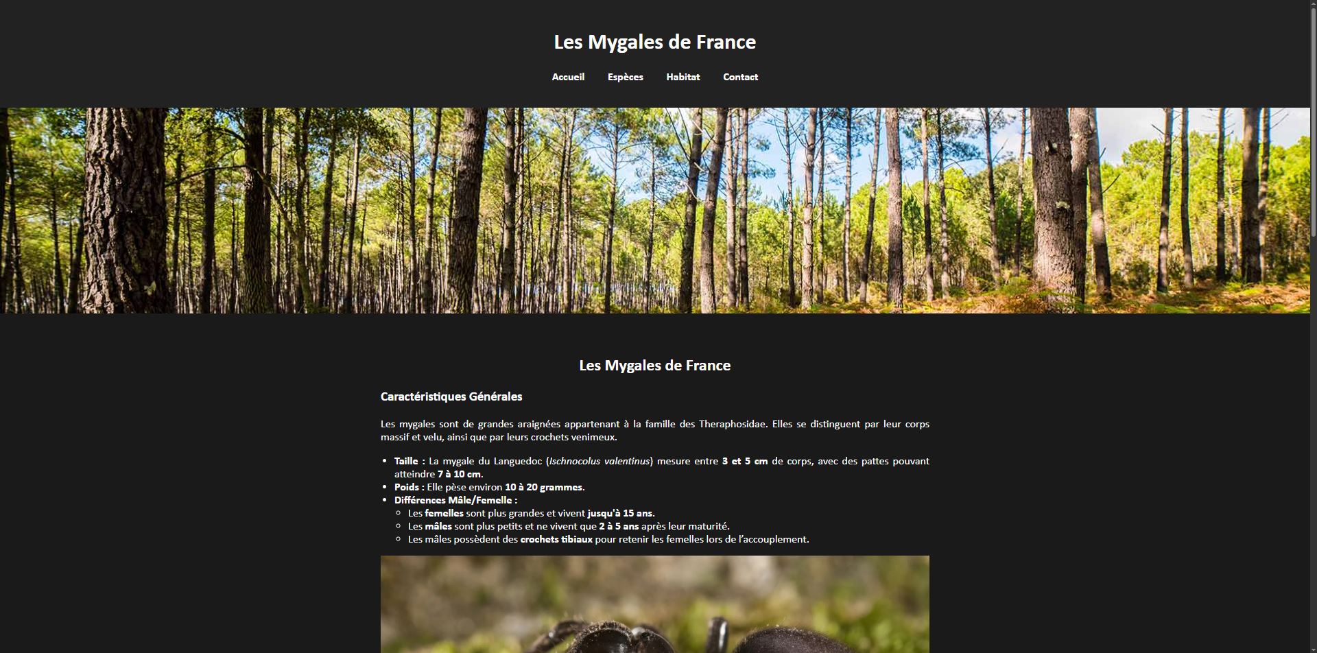 Projet 4